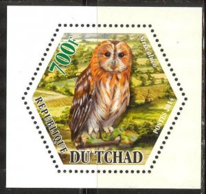 Chad 2014 Birds Owls (1) MNH Cinderella !