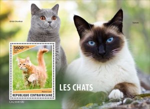 2024 04- CENTRAL AFRICAN - CATS          1V  complet set    MNH ** T