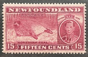 Newfoundland, Scott 239, Unused LH