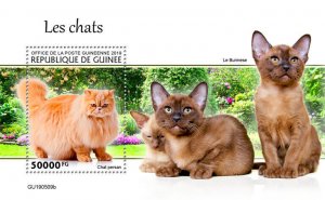 Guinea 2019 MNH Cats Stamps Persian Burmese Cat Domestic Animals Pets 1v S/S