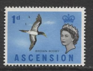 ASCENSION- Scott 75 - Bird - Brown Booby -1963 - MNH - Single 1d Stamp