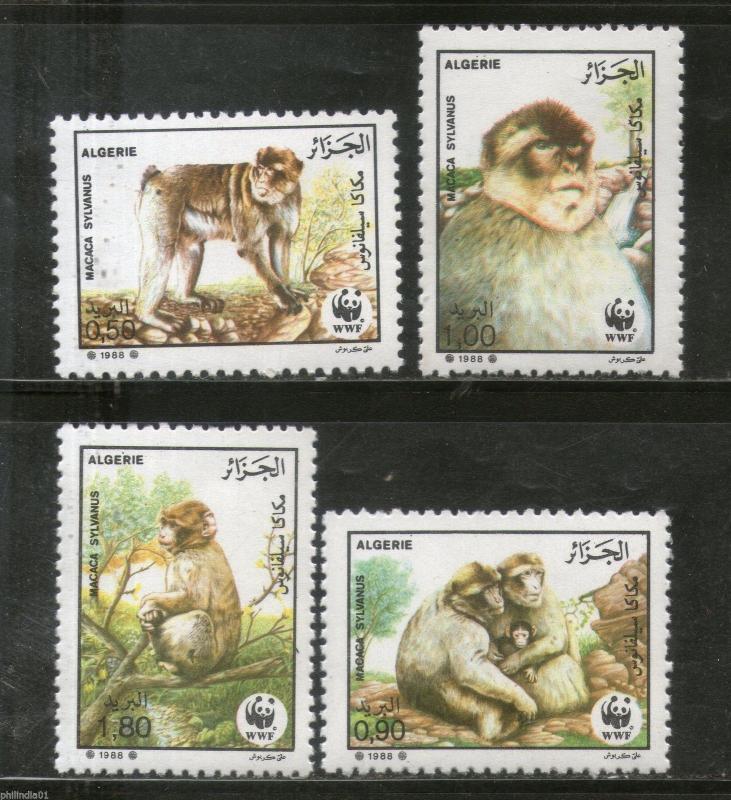 Algeria 1988 WWF Barbary Macaque Monkey Wildlife Animal 4v Sc 872-75 MNH # 069