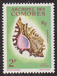 Comoros Islands Sea Shell (Scott #50) MLH