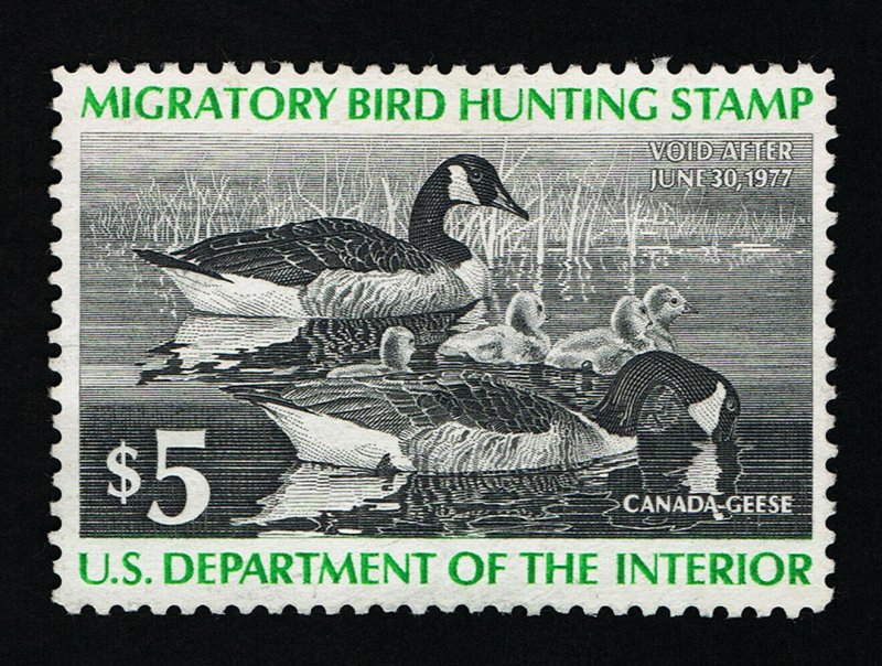 GENUINE SCOTT #RW43 XF MINT 1976 FEDERAL DUCK STAMP - CANADA GEESE