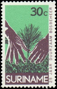Suriname #399-401, Complete Set(3), 1972, Trees, Never Hinged