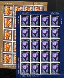 Montenegro 2014, Flower