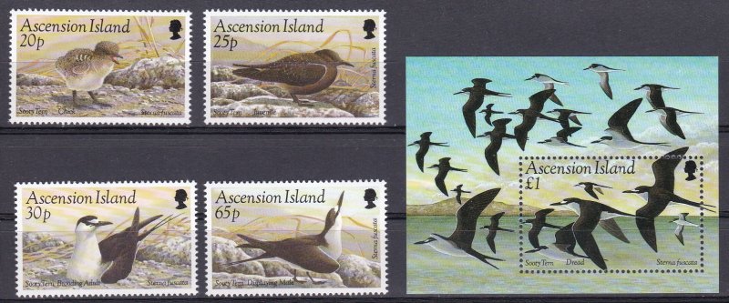 Ascension Isl, Fauna, Birds MNH / 1994