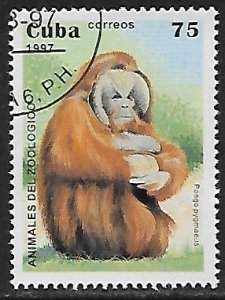 Cuba # 3811 - Orangutan - unused CTO.....{Z23}