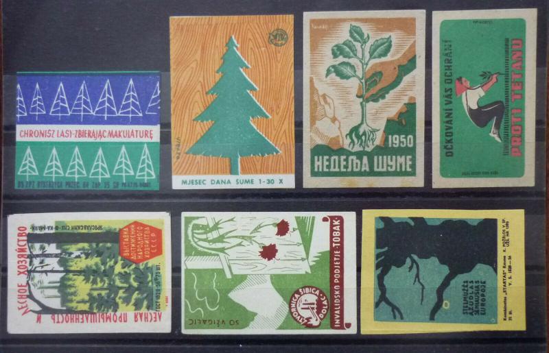 Match Box Labels! flora flower flowers nature russia yugoslavia GJ19