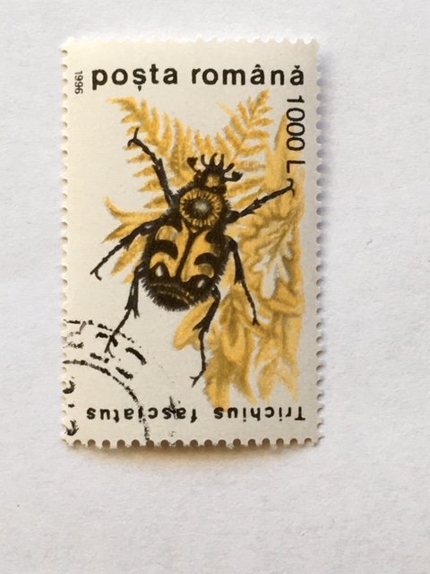 Romania – 1996 – Single “Insect” Stamp – SC# 4089 – CTO