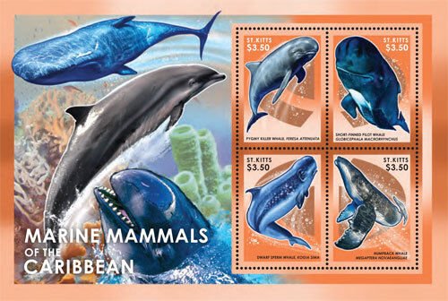 SAINT KITTS 2013 - MARINE LIFE DOLPHINS - SHEET OF 4 STAMPS - MNH