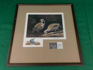 1982 Washington State Upland Stamp Print - Chukar Partridge - by Marlow Urdahl