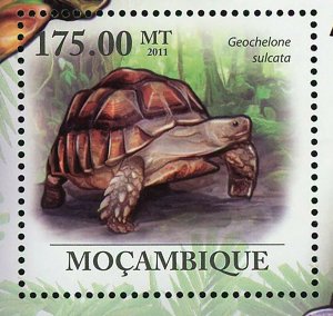 Turtles Stamp Geochelone Sulcata Trachemys Scripta Elegans S/S MNH #4321 /Bl.411