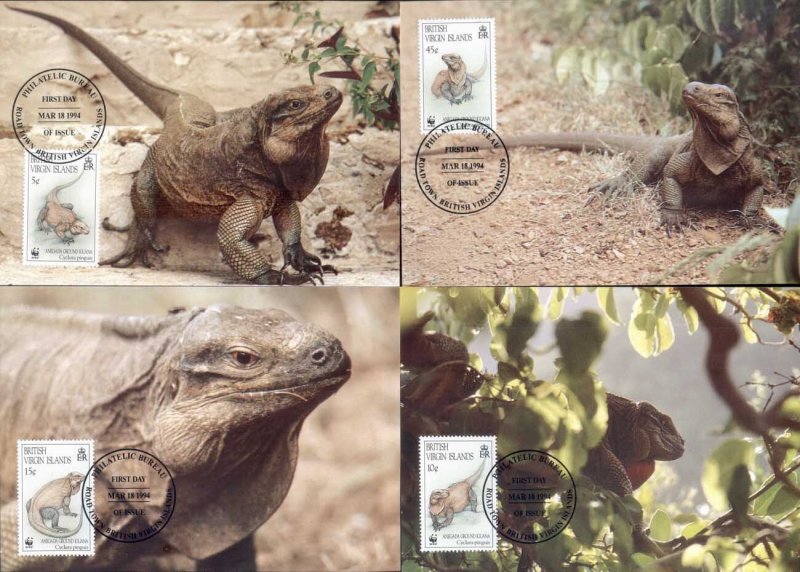 Virgin Is 1994 WWF Anegada Ground Iguana Maxicards