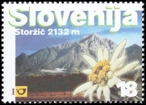 Slovenia 1999 Sc 389 Mountain Flower