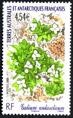 FSAT Scott #403 Flora MNH