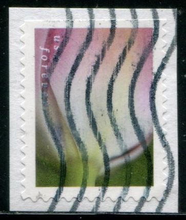 5779 US (63c) Tulip Blossoms - pink w/white SA bklt, used on paper