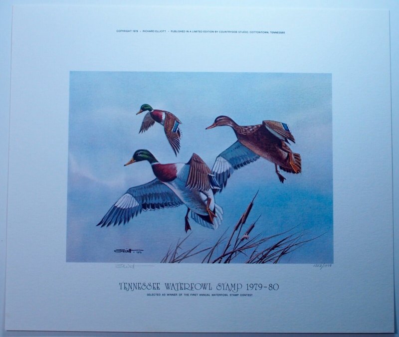 Tennessee Waterfowl Hunting Stamp Signed Artwork 1979 Ducks Birds Limited USA