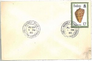 28707 - BELIZE - Postal History - COVER from MONKEY RIVER 1980