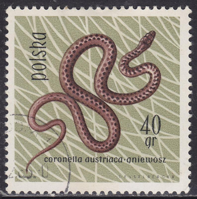 Poland 1135 Smooth Snake 1963