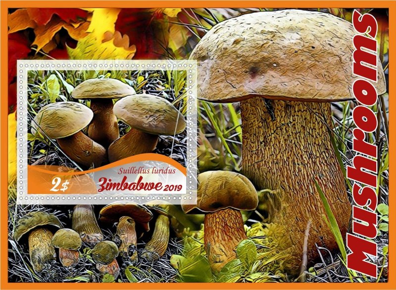 Mushrooms 8 sheets perforated  NEW