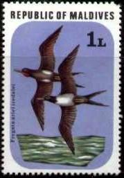 Lesser Frigate Bird, Maldive Islands stamp SC#691 MNH