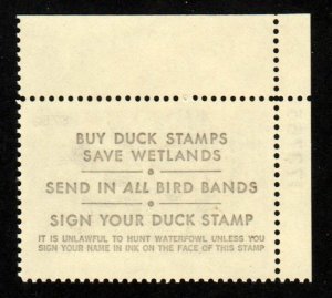 Sc RW50 MNH. 1983 $7.50 Pintails Duck Stamp VF/XF ⭐⭐⭐⭐⭐