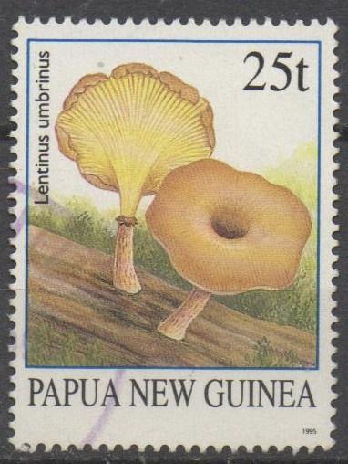 Papua New Guinea 1995, 25t Fungi, used (A220)