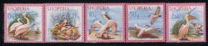 Albania MNH Sc 1012-16 Mi 1138-42 Val 12 Euro Pelican