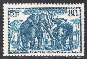 CAMEROUN SCOTT 239
