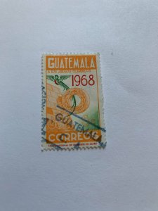 Guatemala 401