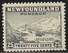 Newfoundland sc 265 Mnh