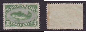 Newfoundland-Sc#46- id24-unused NH og 2c Codfish-1882-one side edge toned-