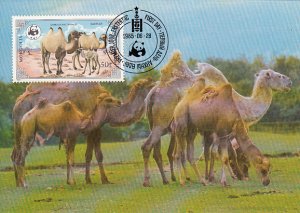 Mongolia 1985 Maxicard Sc #1443 50m Bactrian camel WWF