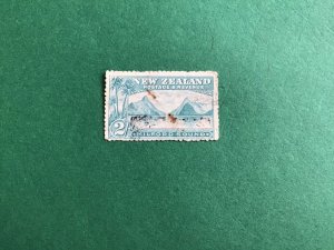 New Zealand Vintage Two Shilling Landscape with pin hole  Stamp  R44151