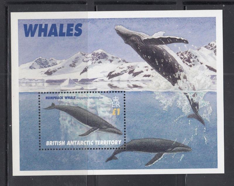 BRITISH ANTARCTIC TERRITORY # 248 MNH HUMPBACK WHALE S/SHEET