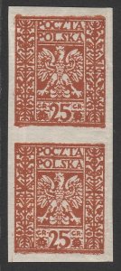 POLAND 1932 Arms 25g brown Vienna Postal Forgery pair IMPERF. MNH **.