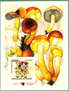 A0528 - GUINEE Guinea - ERROR, 2002  IMPERF SHEET:  nature MUSHROOMS Funghi