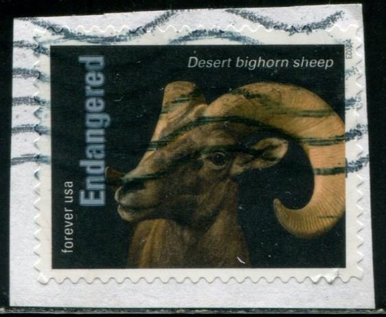 5799s US (63c) Endangered Species - Desert Bighorn Sheep SA, used on