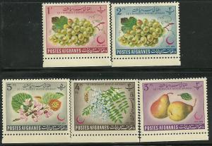 Afghanistan - 613-17 - MH-HR - SCV-1.00