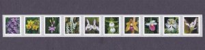 PNC10 Wild Orchids B1111 US 5435-5444, 5444a MNH F-VF Scott Order Mailed Flat 