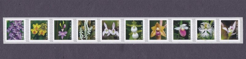 PNC10 Wild Orchids B1111 US 5435-5444, 5444a MNH F-VF Scott Order Mailed Flat 