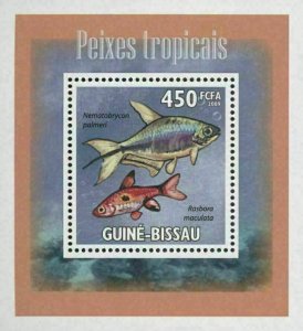 Tropical Fish Rasbora Mini Sov. Sheet MNH