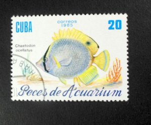 CUBA Sc# 2815  TROPICAL FISH Marine Life  20c  1985 used cto