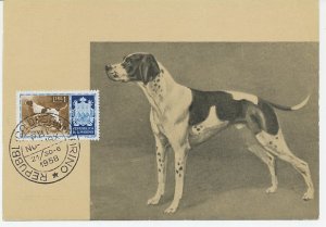 Maximum card San Marino 1958 Dog - Pointer