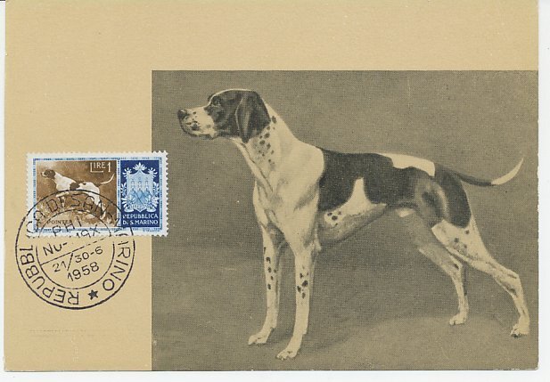 Maximum card San Marino 1958 Dog - Pointer