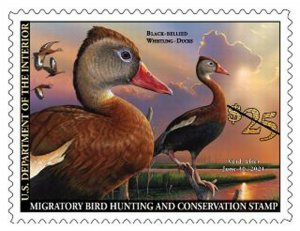 Black-bellied whistling-duck - $25.00 Federal Duck Stamp Scott RW87