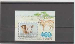 Namibia  Scott#  732  MNH  S/S  (1993 Simmental Bull)