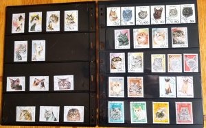 Topical cat collection, 100 plus issues