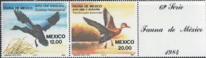 Mexico 1346-7 (mnh, w/label) fauna of Mexico: ducks (1984) (stock photo)